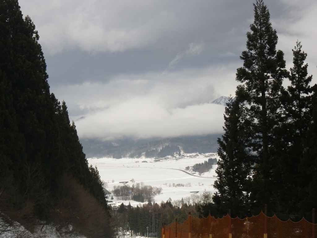 IMGP0098