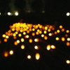 IMGP0664