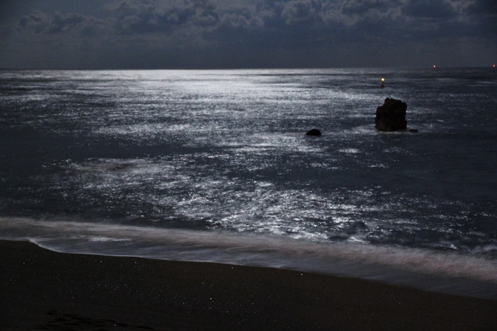 moon light shower