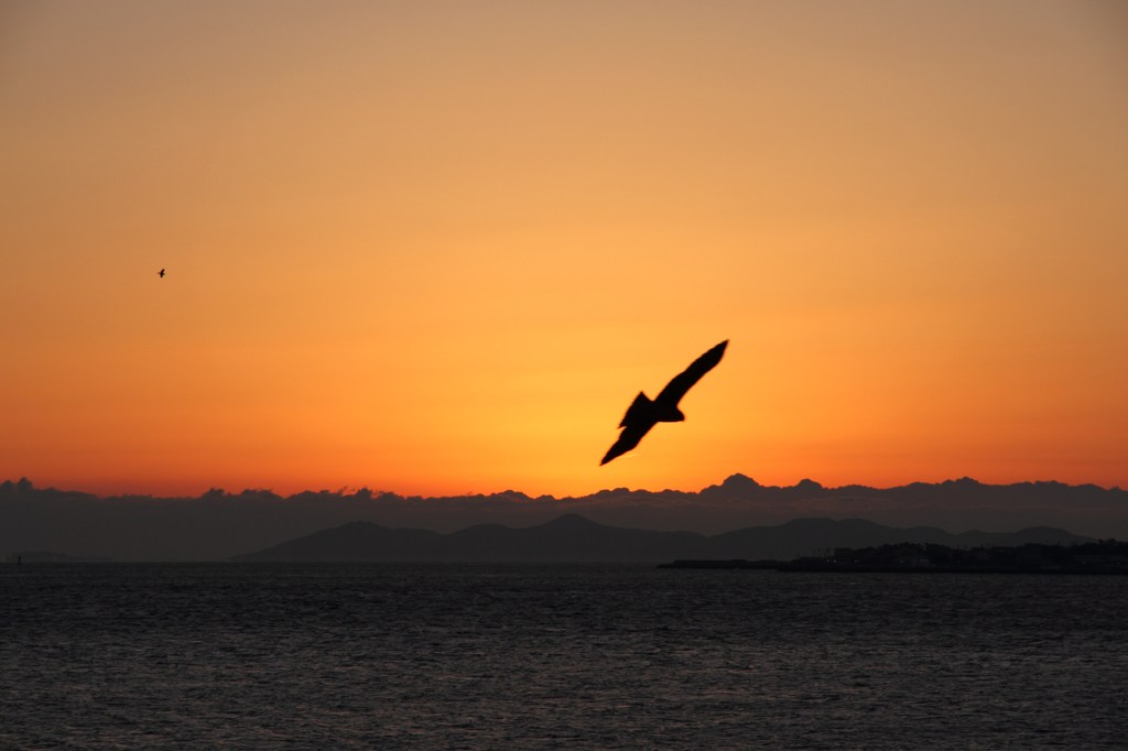 Silhouette 