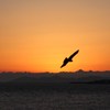 Silhouette 