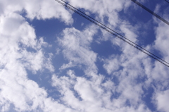 after the rain Ⅲ