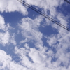 after the rain Ⅲ