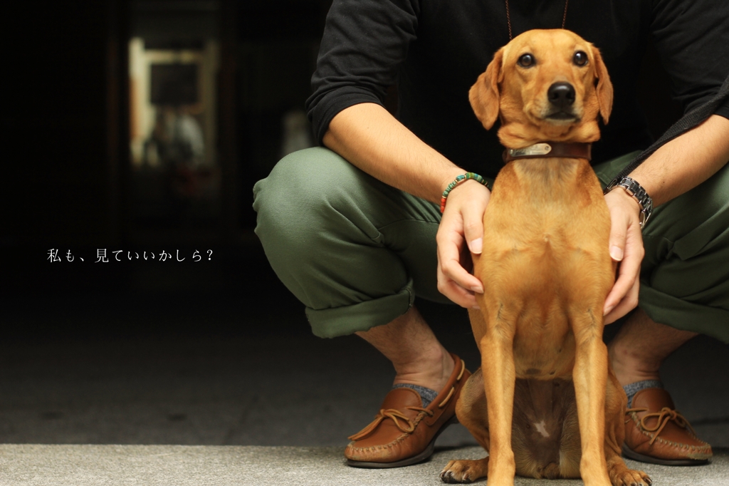 犬も来てくれる博愛主義な写真展