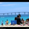 夏、はじめました。
