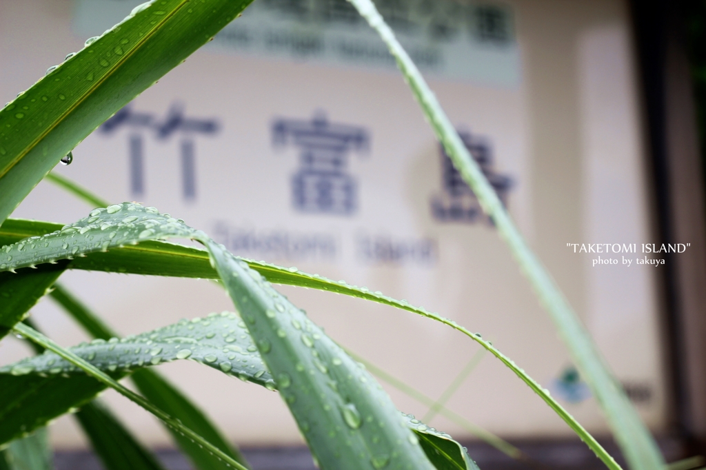 rain