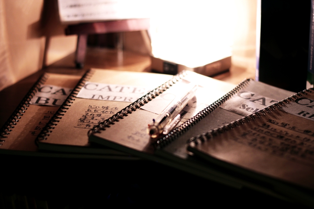 what dose wrote me?