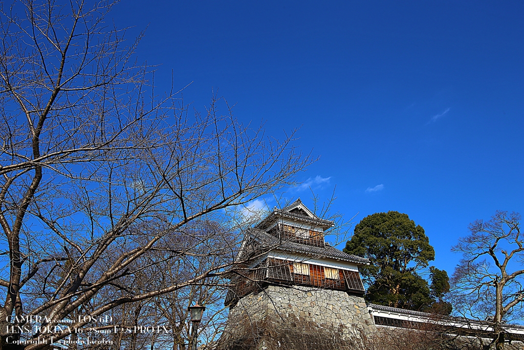 熊本城　復興を祈念して