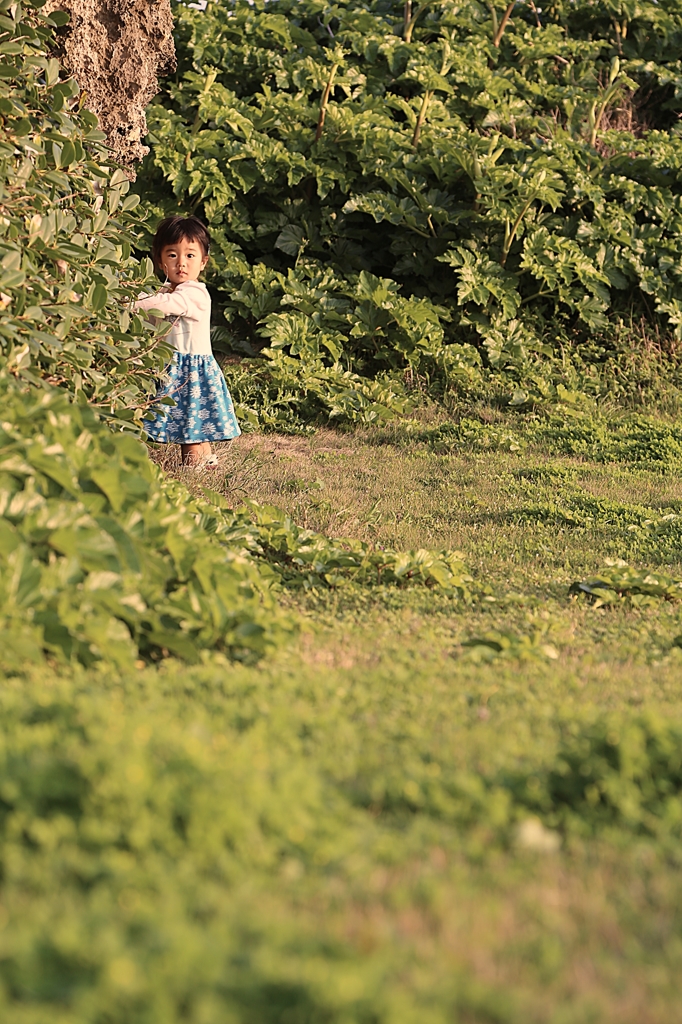 おーーい★呼んだ？