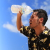 31℃の！とろけそうな日！