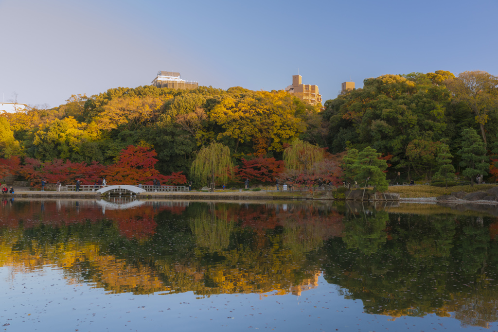 『紅葉』徳川園