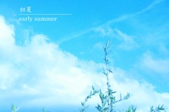 初夏
