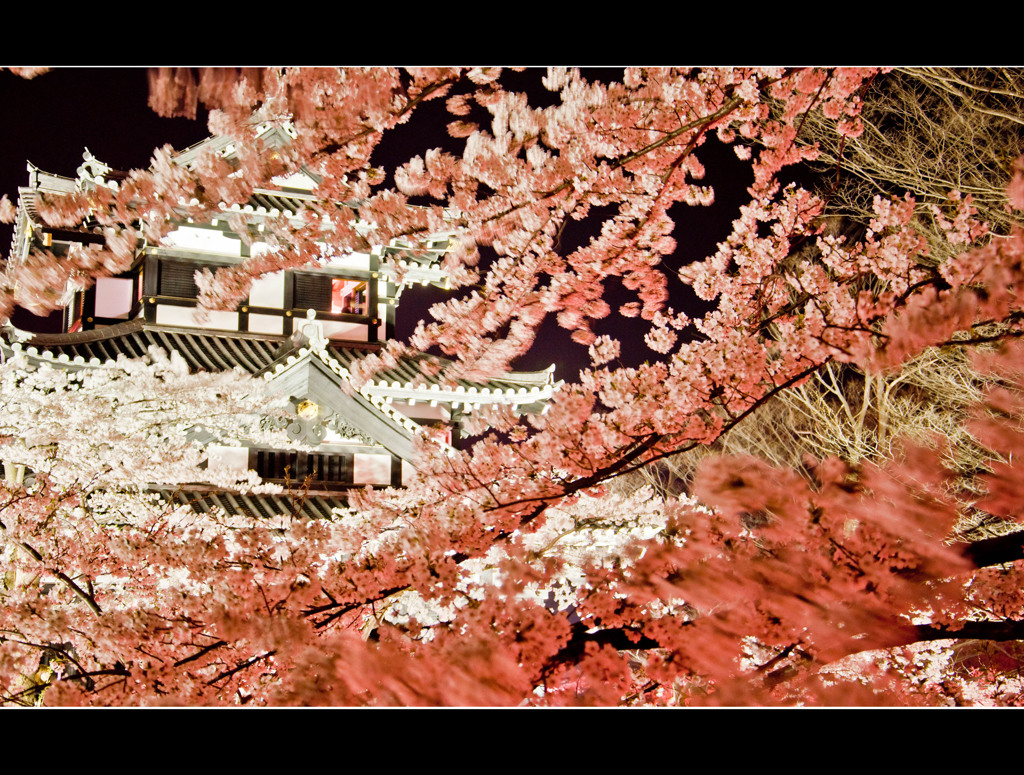 『風林"花"山』