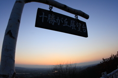 展望台から