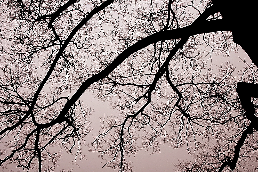 うじゃうじゃ(一晩寝かせてｖｅｒｓｉｏｎ）