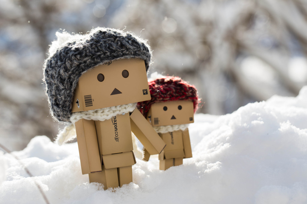 雪の日