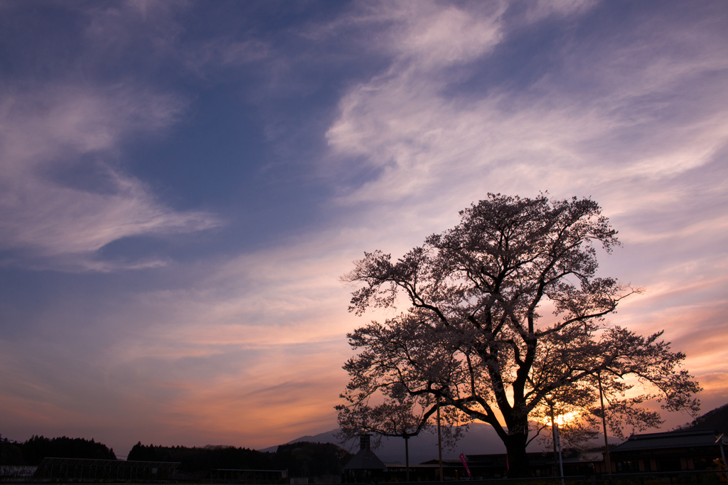 4月の夕空の下で