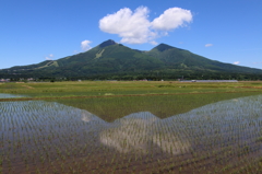 爽やかな風をうけて