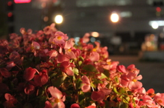 夜の色