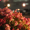 夜の色