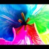 【Rainbow】