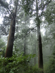 台風の筑波山