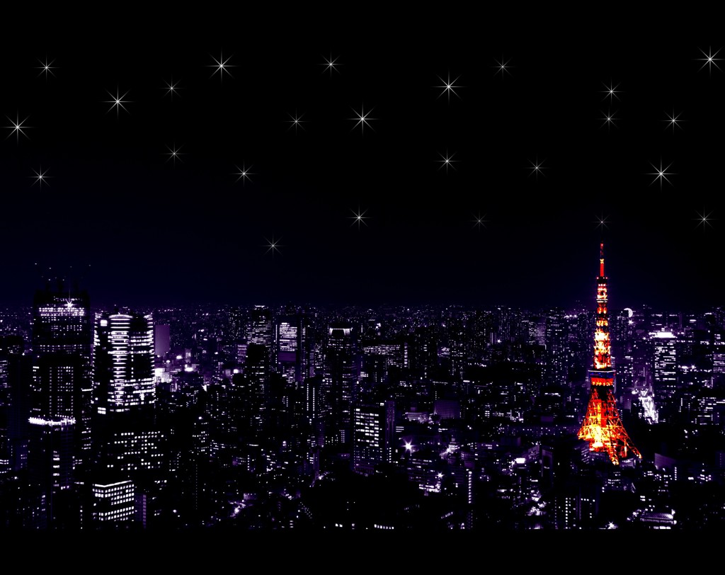 【星降る夜に】