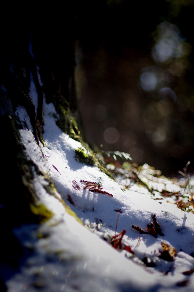 積雪