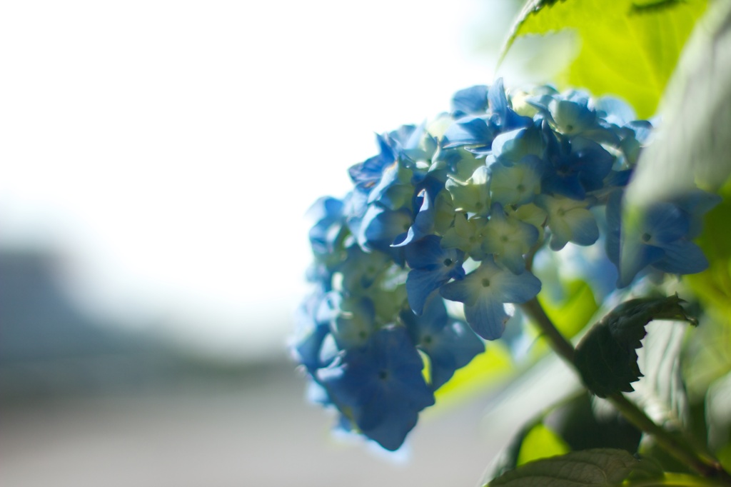 F1.4の世界