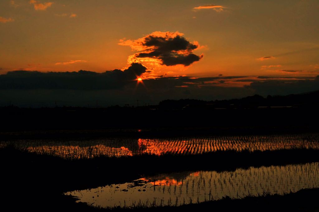 今日の夕日