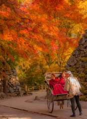 紅葉