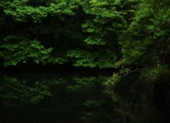 雲場池