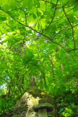 新緑の中に