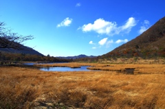 湿原の秋