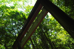 伊勢の森