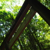 伊勢の森