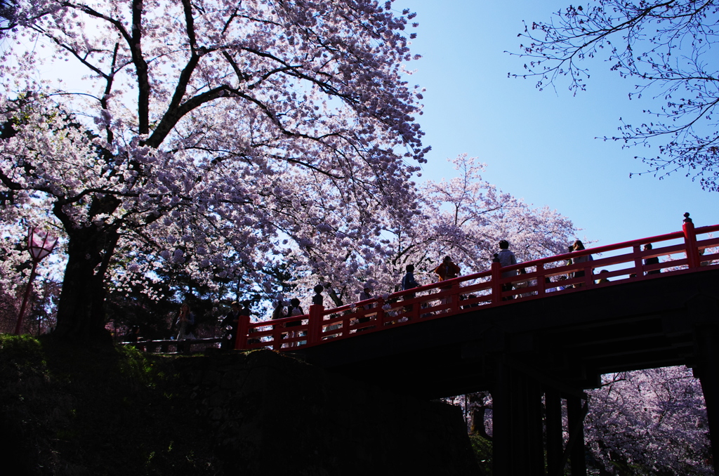 お花見