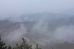 霧中