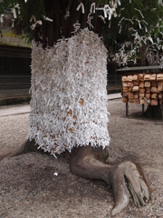 祈りを抱く恐竜.