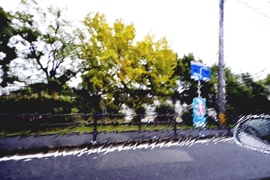 日曜日雨