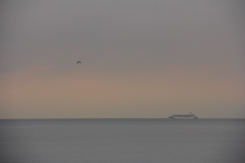 jonathan livingston seagull 