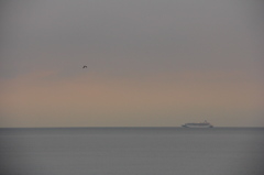 jonathan livingston seagull 