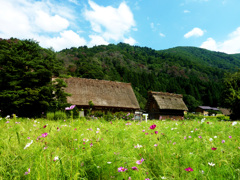 春の村