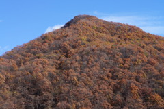 秋の山