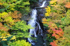 黄緑に紅さして白き流れも