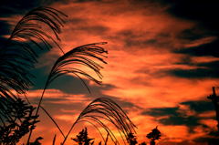 秋の夕暮れ