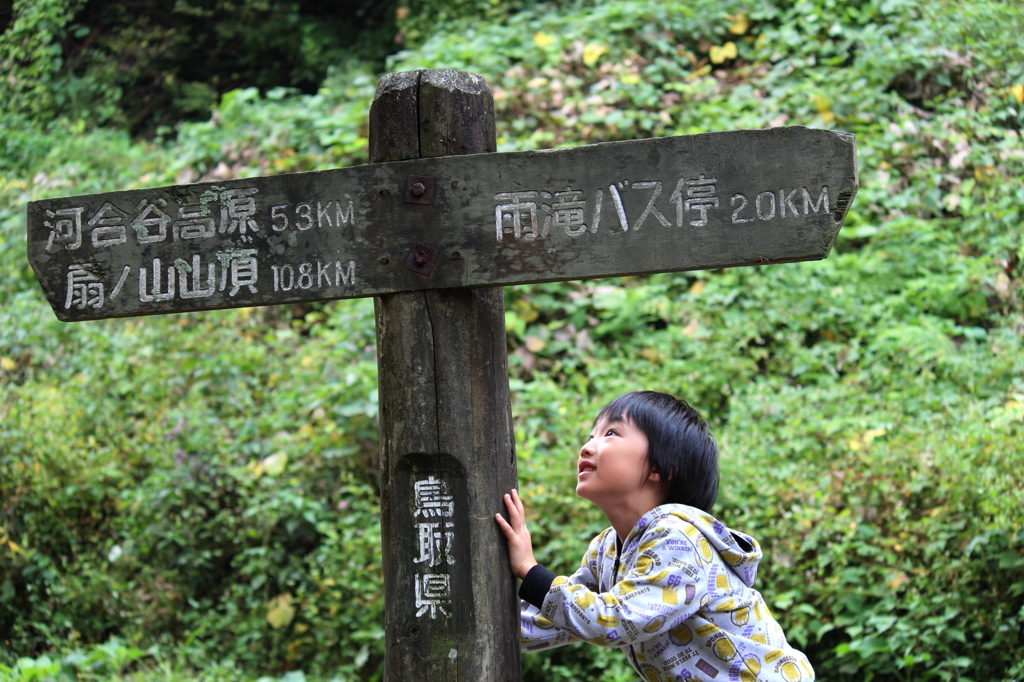 分岐点