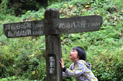 分岐点