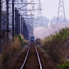 桜と列車と（撮って見たかった）