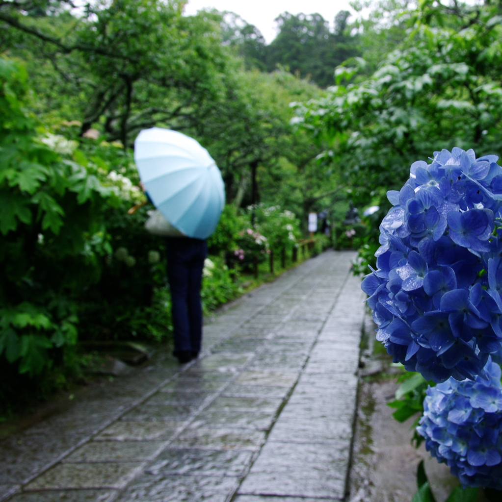 姫、撮らせていただきます。